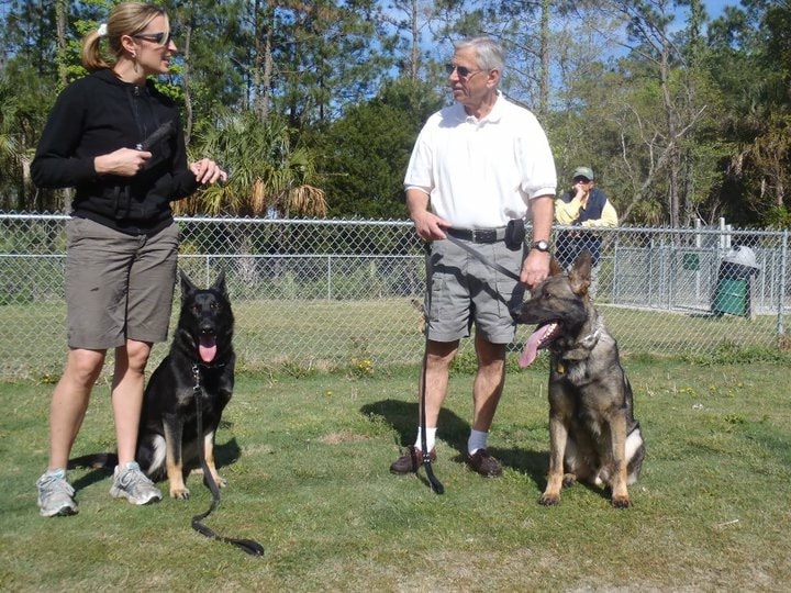 Advanced Obedience